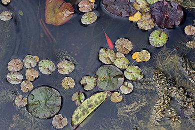 《直到黎明：复刻版》上市预告 10月4日登陆PS5＆PC 